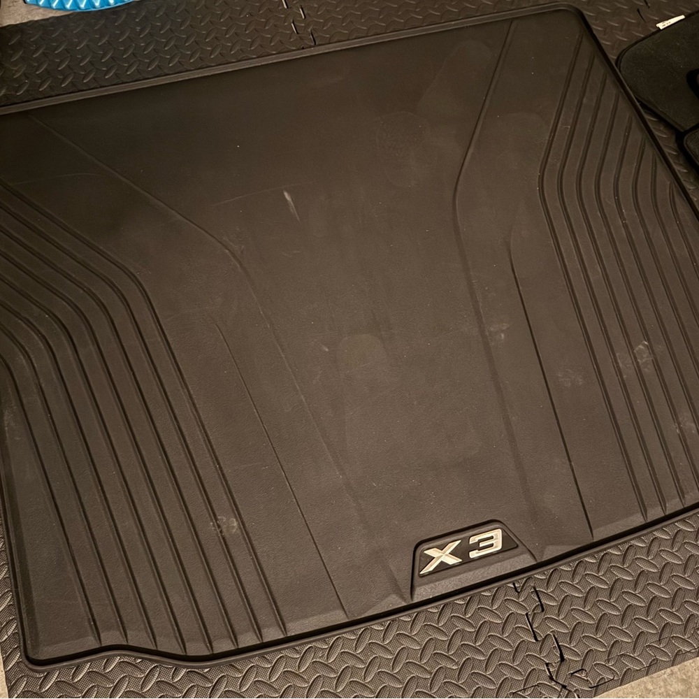 BMW Black X3 Floor Mat